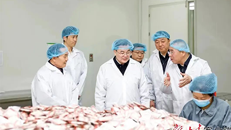 甘肃省委书记胡昌升莅临bv1946伟德官网健康集团佛仁制药考察调研