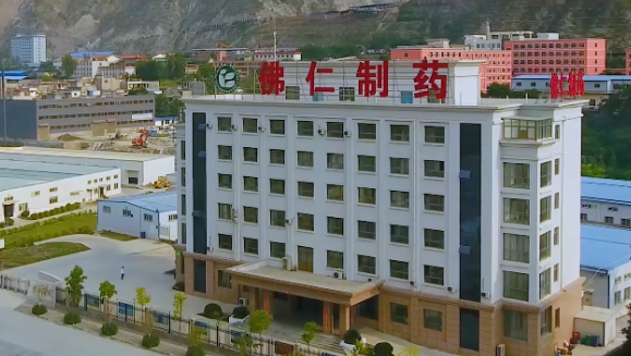 甘肃省副省长葛建团莅临bv1946伟德官网（002219）旗下佛仁制药考察调研